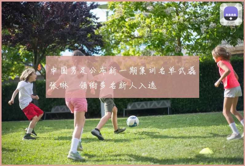 中国男足公布新一期集训名单武磊张琳芃领衔多名新人入选